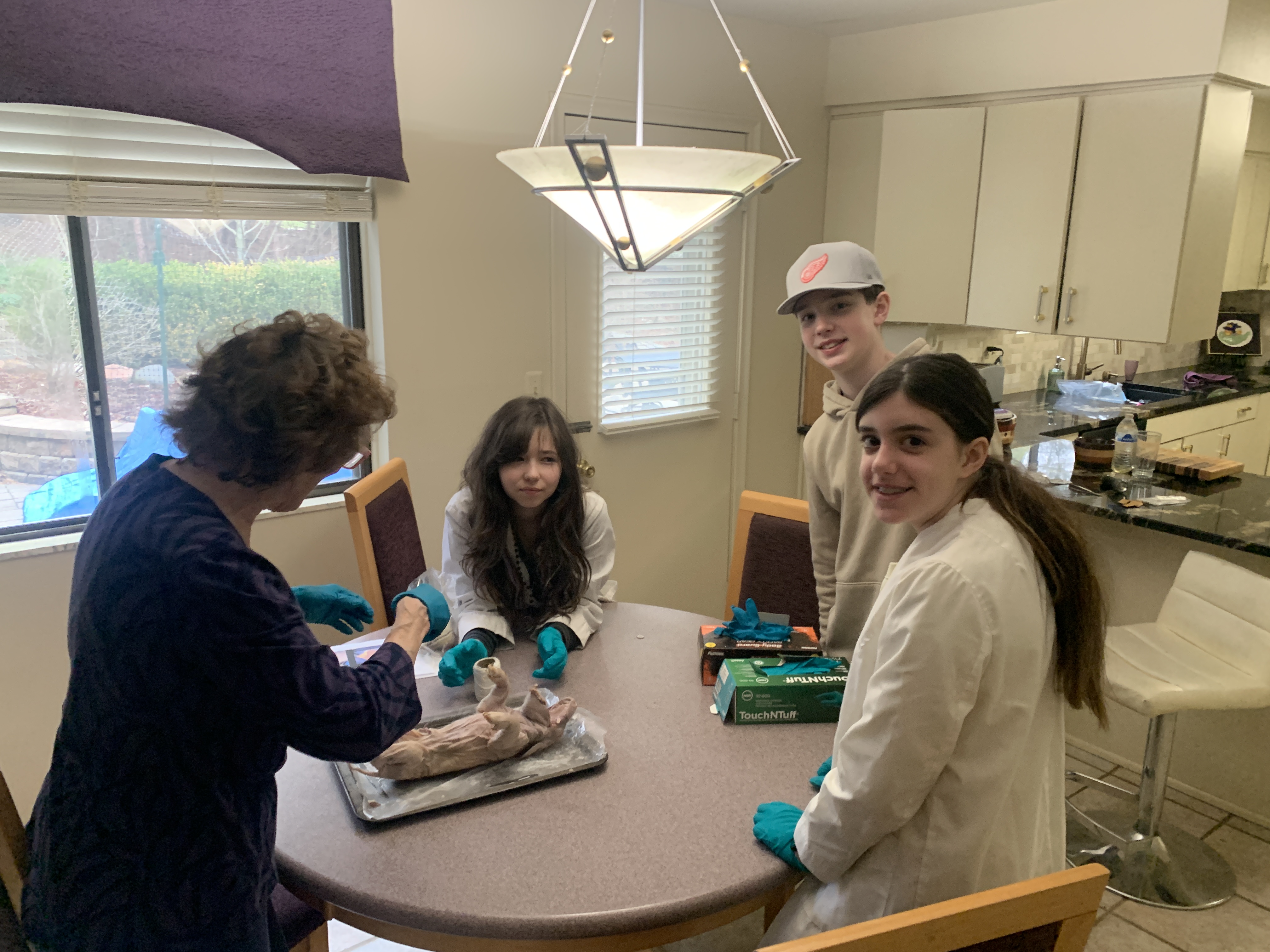 Fetal pig dissection led by a retired biology teacher